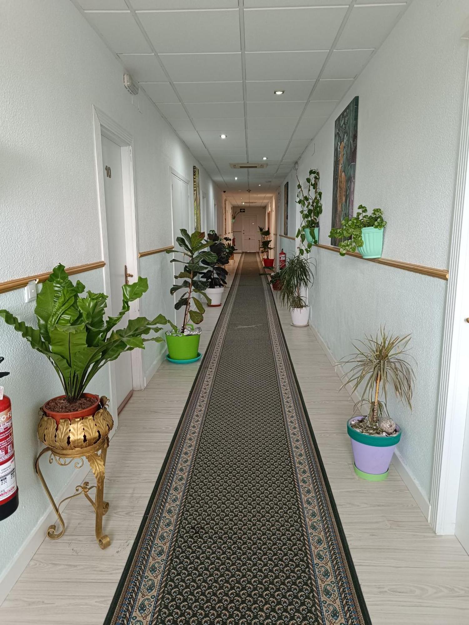 Hostal Fuente Del Pino Jumilla Eksteriør bilde